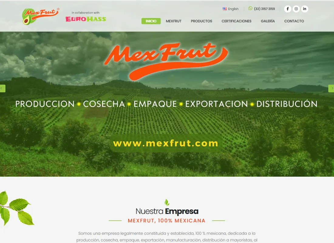 Página web de Mexfrut, empacadora y exportadora de aguacate, creada por Publinovo