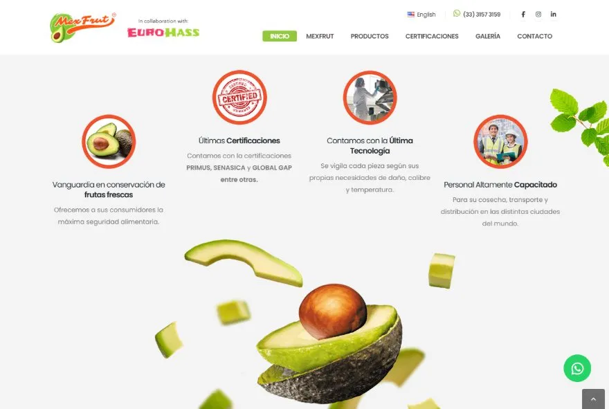 Sitio web de Empaque Mexfrut, proveedor B2B de aguacate hass y frutas premium