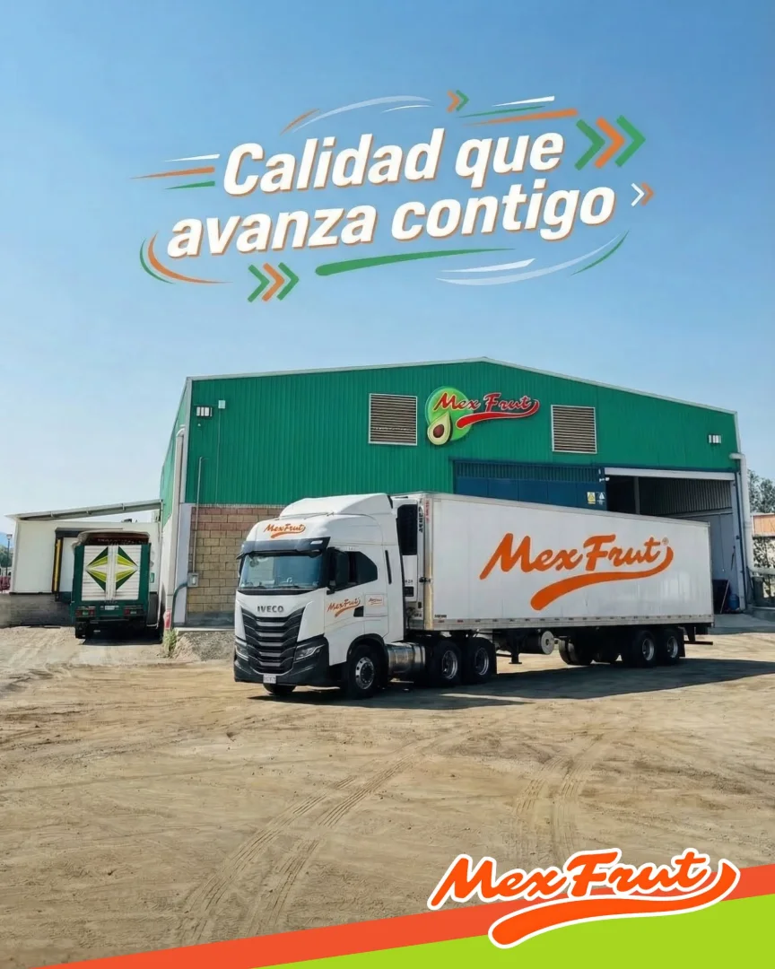 Pieza de redes: Calidad que avanza contigo