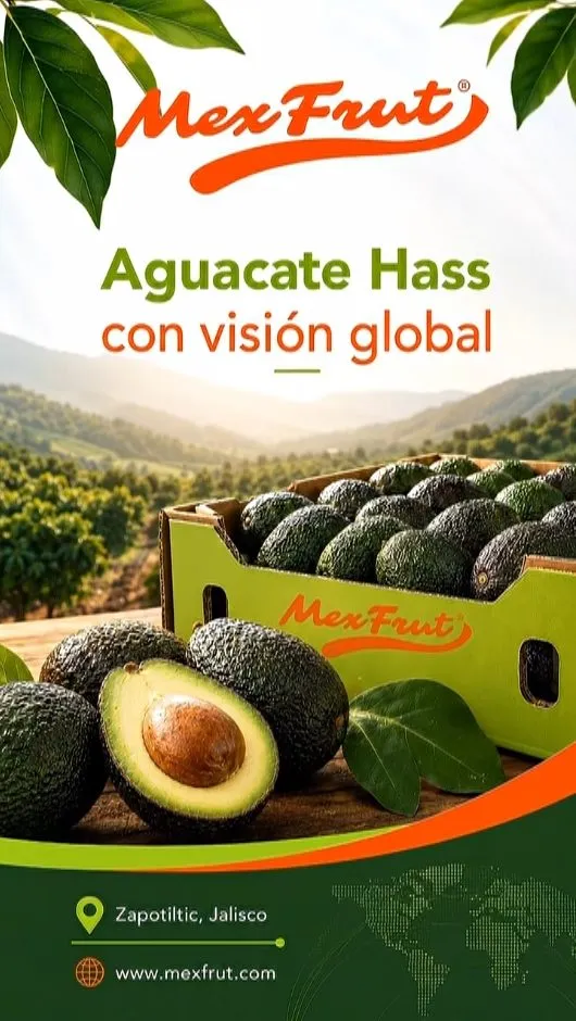 Video con IA para Mexfrut: aguacate hass de exportación