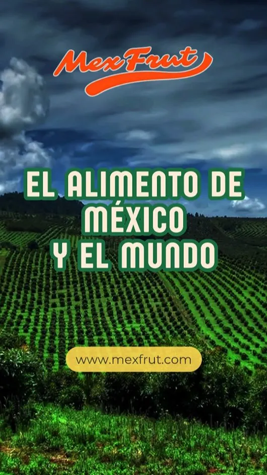Video con IA para Mexfrut: frutas premium