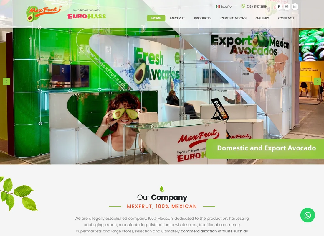 English version of the Mexfrut website: production, harvesting, packing, export and distribution of hass avocado